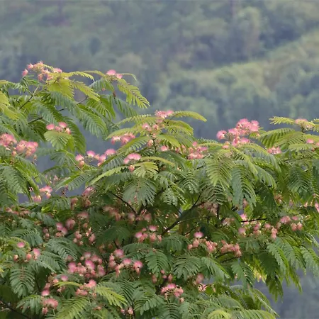 Usategieta 호텔 오이아츠준