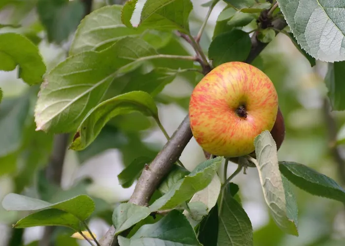 Usategieta Hotel Oiartzun