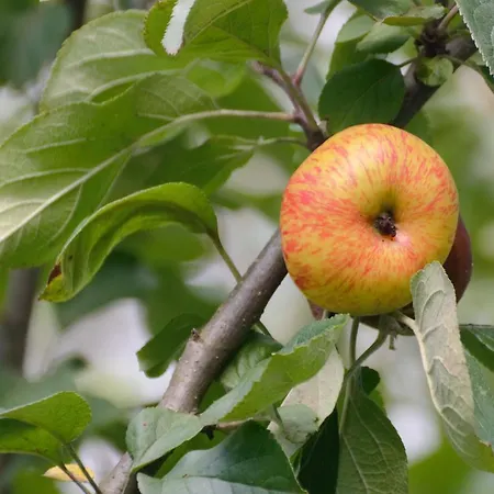 Usategieta 호텔 오이아츠준