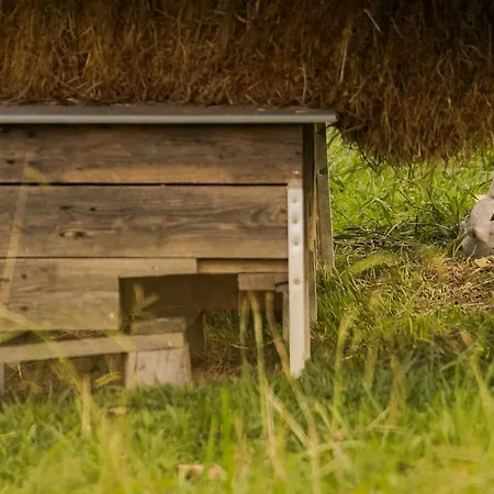 호텔 Usategieta 4*